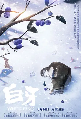 久草草视频在线观看免费高清
